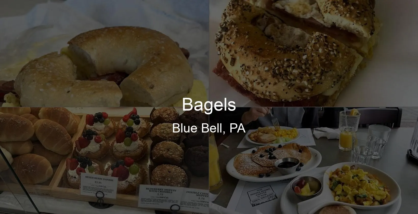 Bagels in Blue Bell, PA Photo
