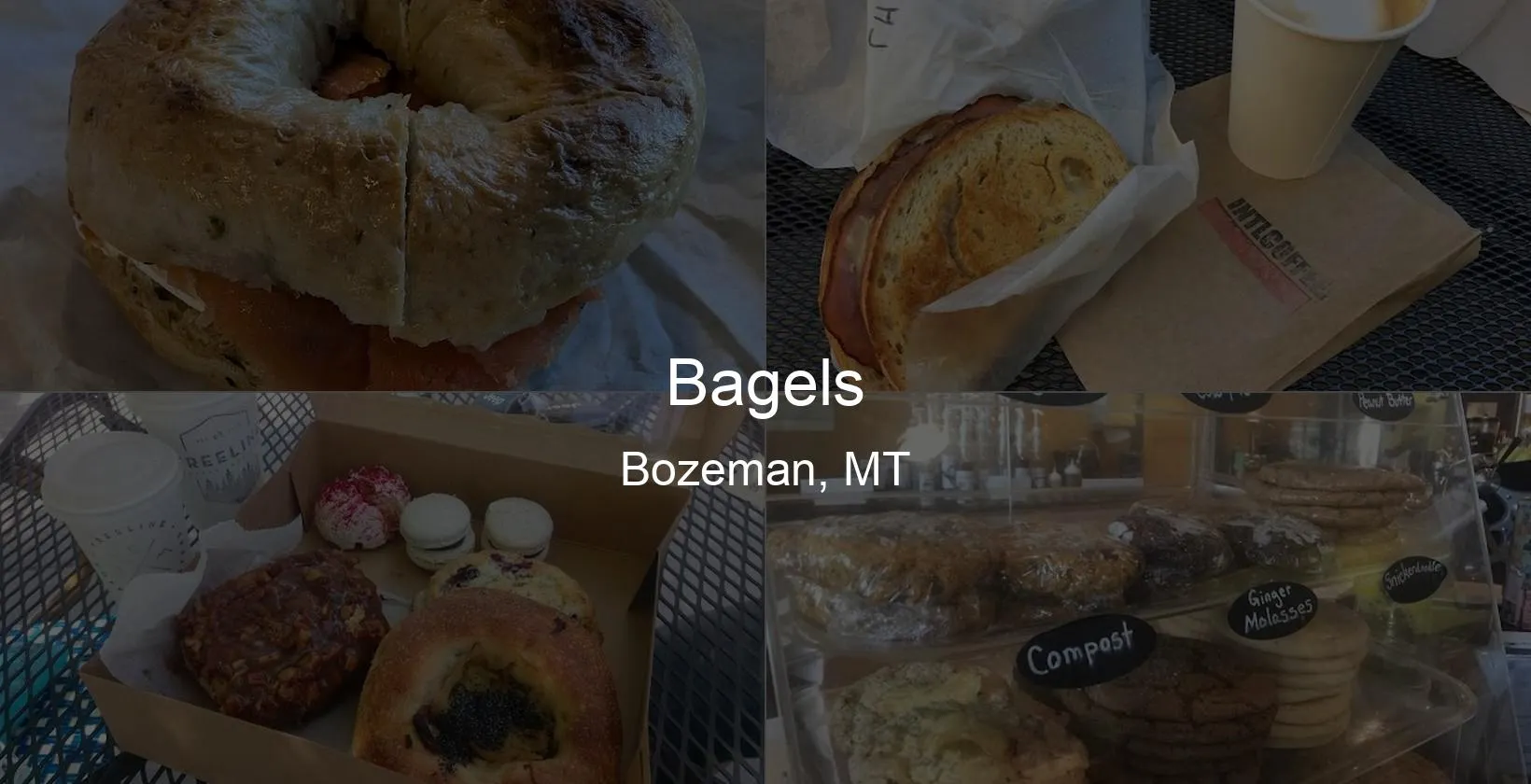 Bagels in Bozeman, MT Photo