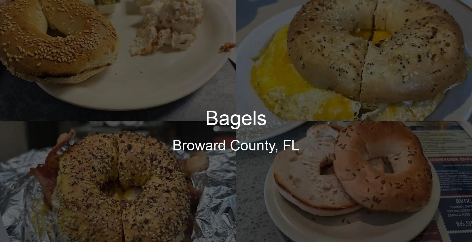 Bagels in Broward County, FL Photo