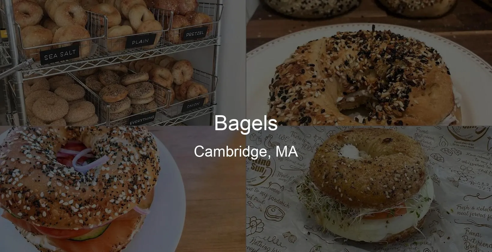 Bagels in Cambridge, MA Photo