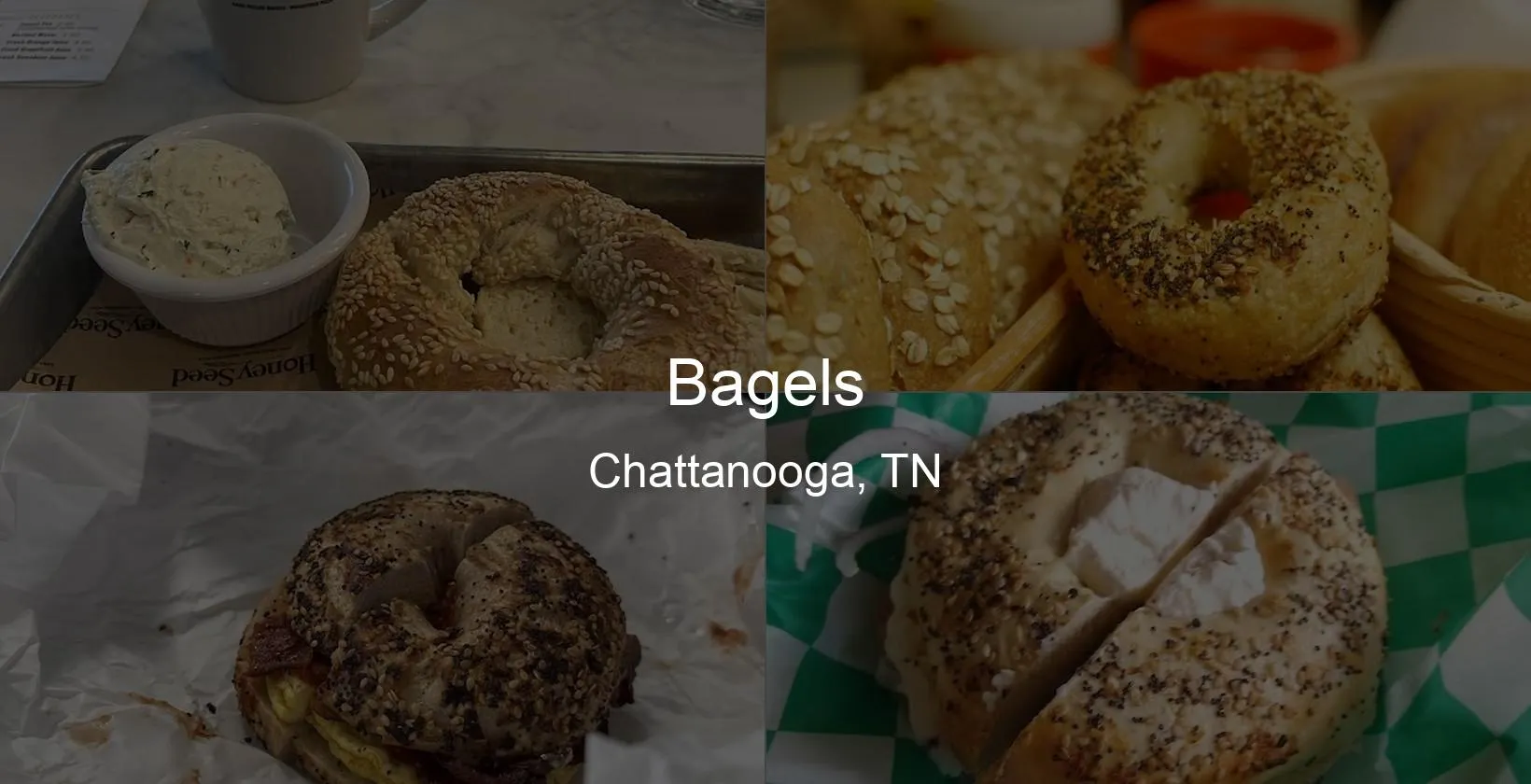 Bagels in Chattanooga, TN Photo