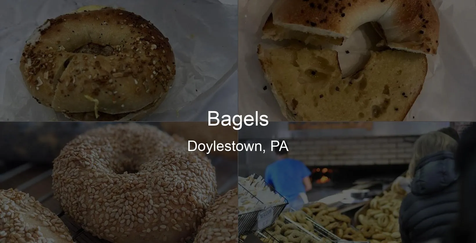 Bagels in Doylestown, PA Photo
