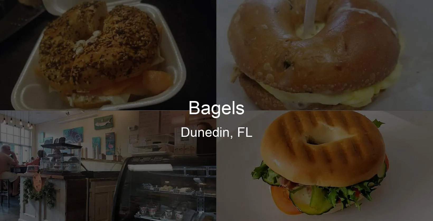 Bagels in Dunedin, FL Photo