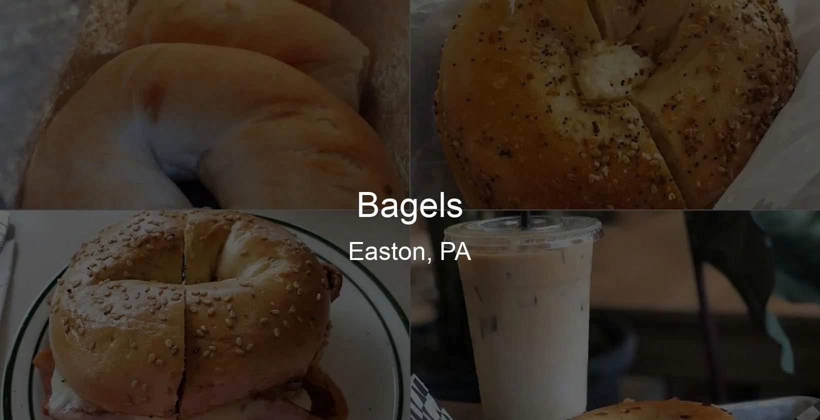 Bagels in Easton, PA Photo