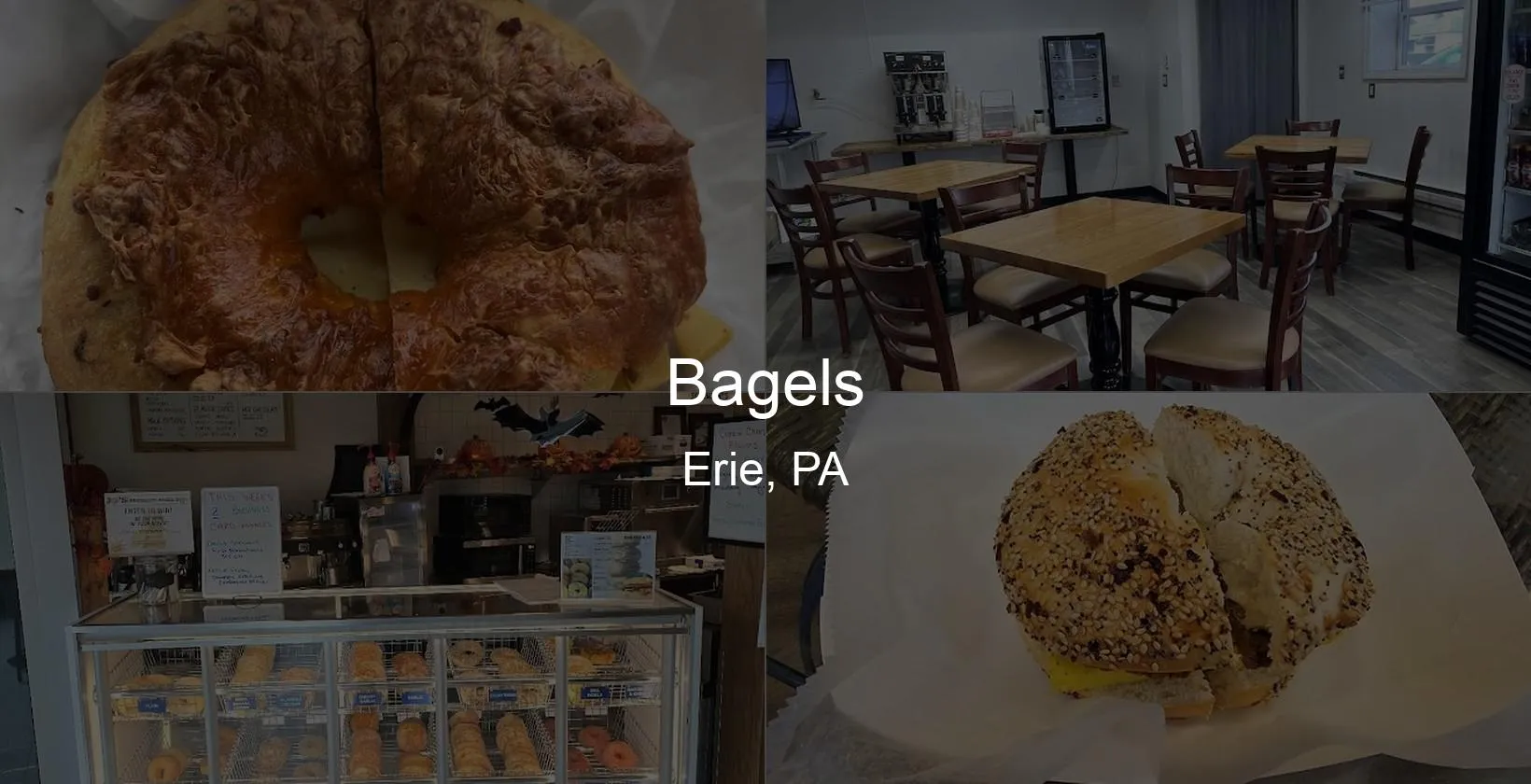 Bagels in Erie, PA Photo