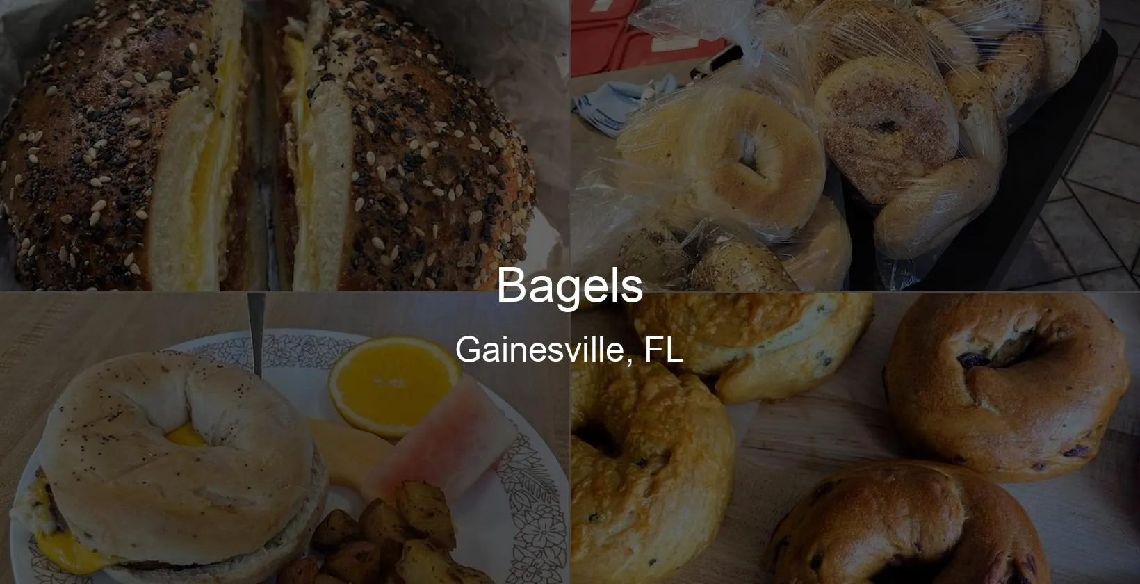 Bagels in Gainesville, FL Photo