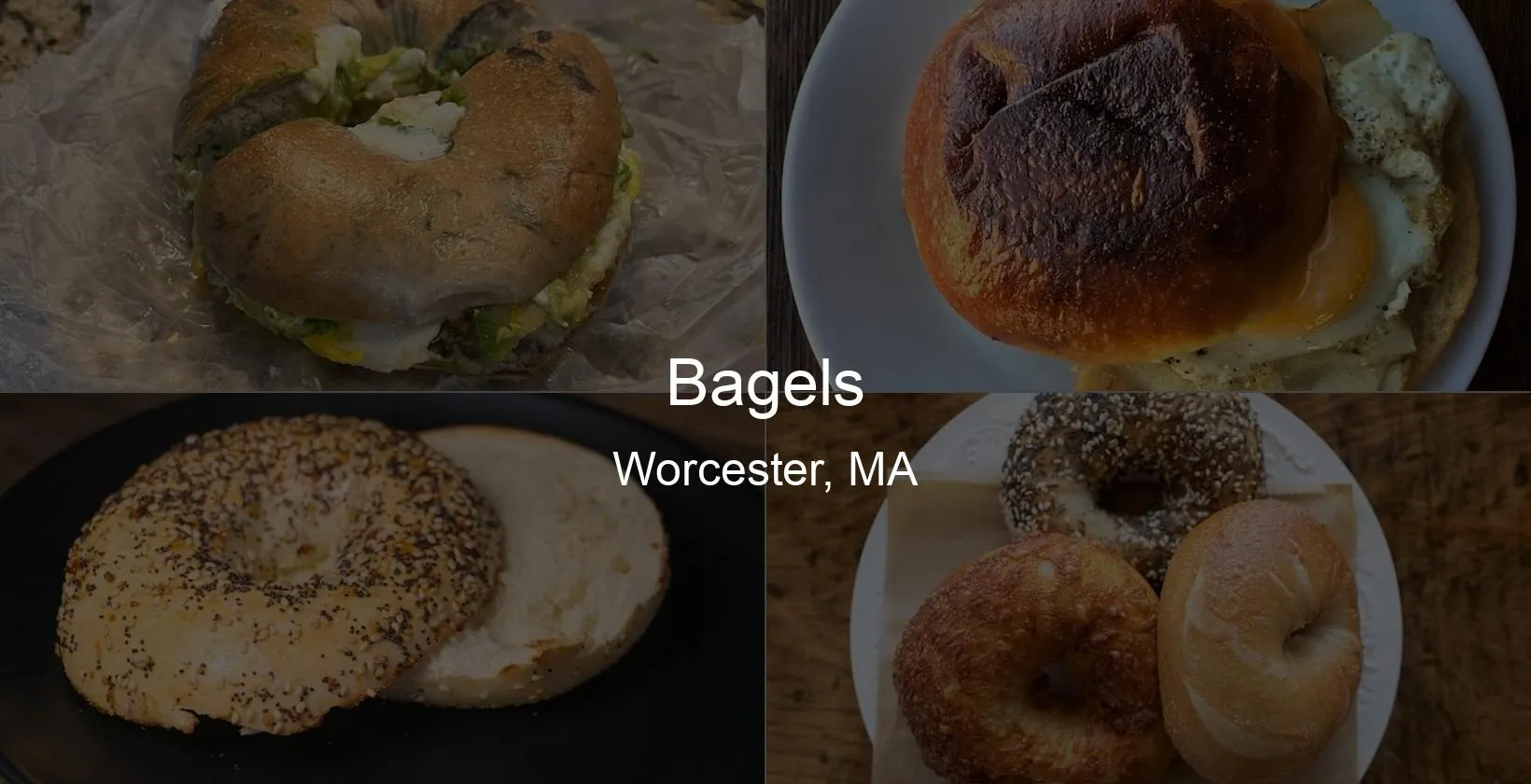 Bagels in Worcester, MA Photo